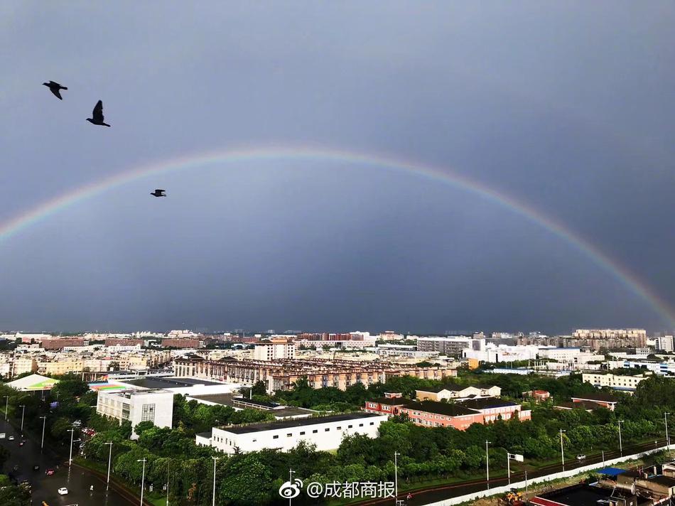 【91黑料不打烊吃瓜】為溫交通、何繼看美景