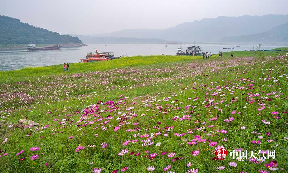 【吃瓜網(wǎng) 黑料 國產(chǎn)精品】工業(yè)鏈有望從筆直走向細(xì)分