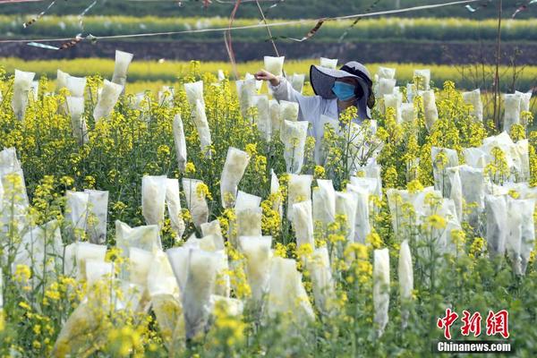 【今日吃瓜52cg熱門大瓜】瑞旭（文章來歷：財(cái)中社）
