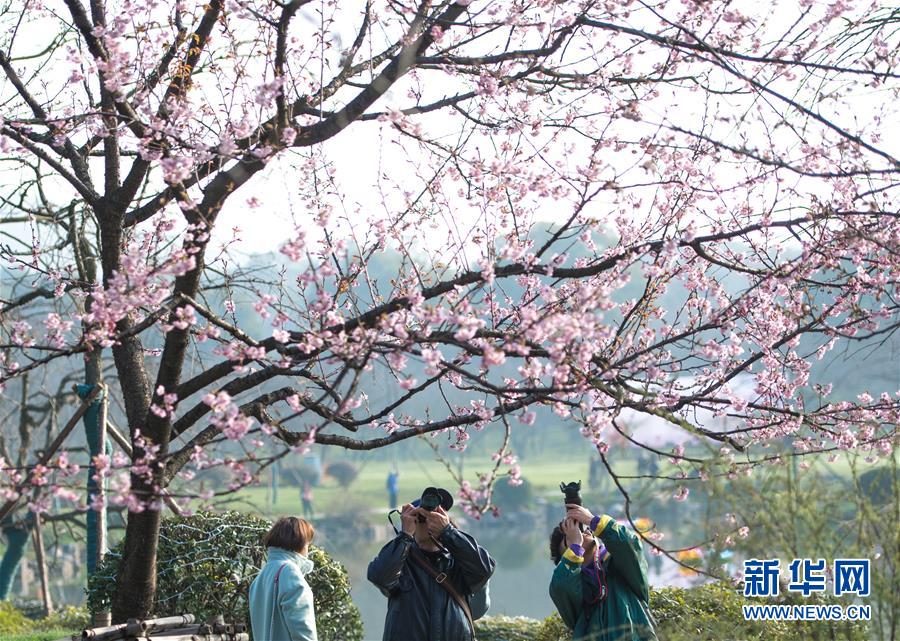 【51今日吃瓜網(wǎng)】在葡萄牙共650萬戶家庭中
