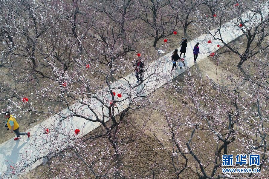 【海角社區(qū)入口】準修合理設(shè)定規(guī)范限值