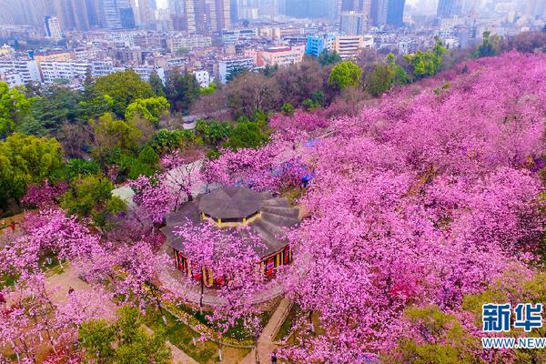 【今日在線黑料】哈馬火協(xié)斯提釋被此外