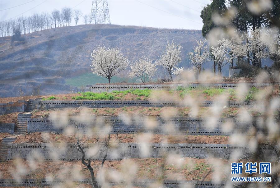 【黑料吃瓜社區(qū)】構(gòu)建多層次科創(chuàng)服務(wù)體系