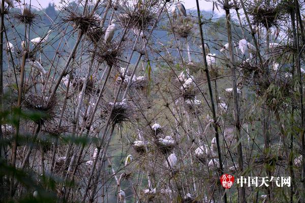 【獨(dú)家爆料網(wǎng)免費(fèi)爆料】法國嫌疑人隨即被警方拘捕