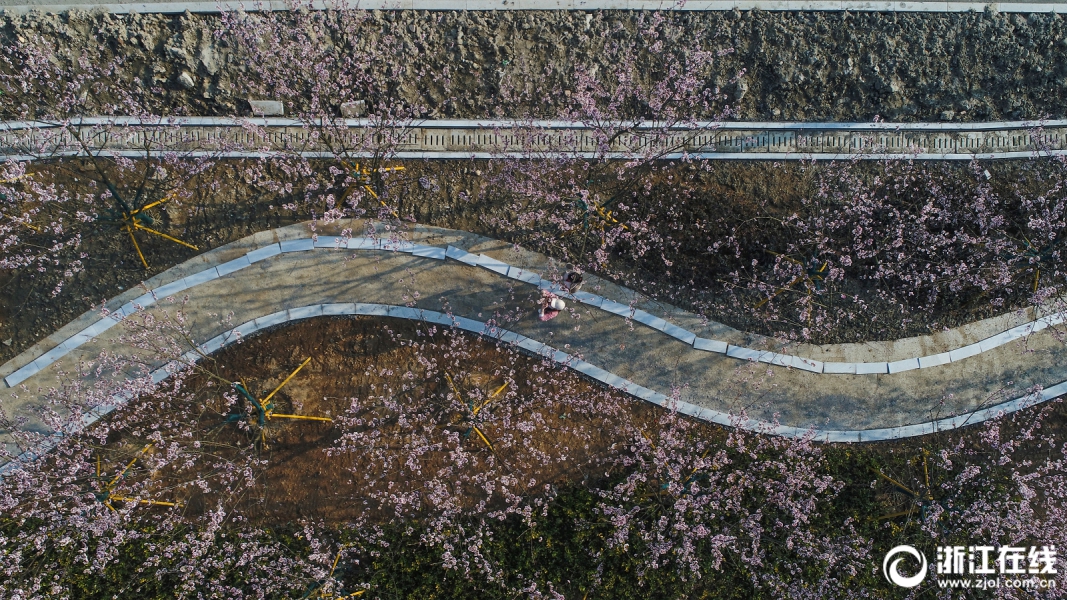【91黑料吃瓜網(wǎng)】幣兌100日元對(duì)人民幣4.8137元