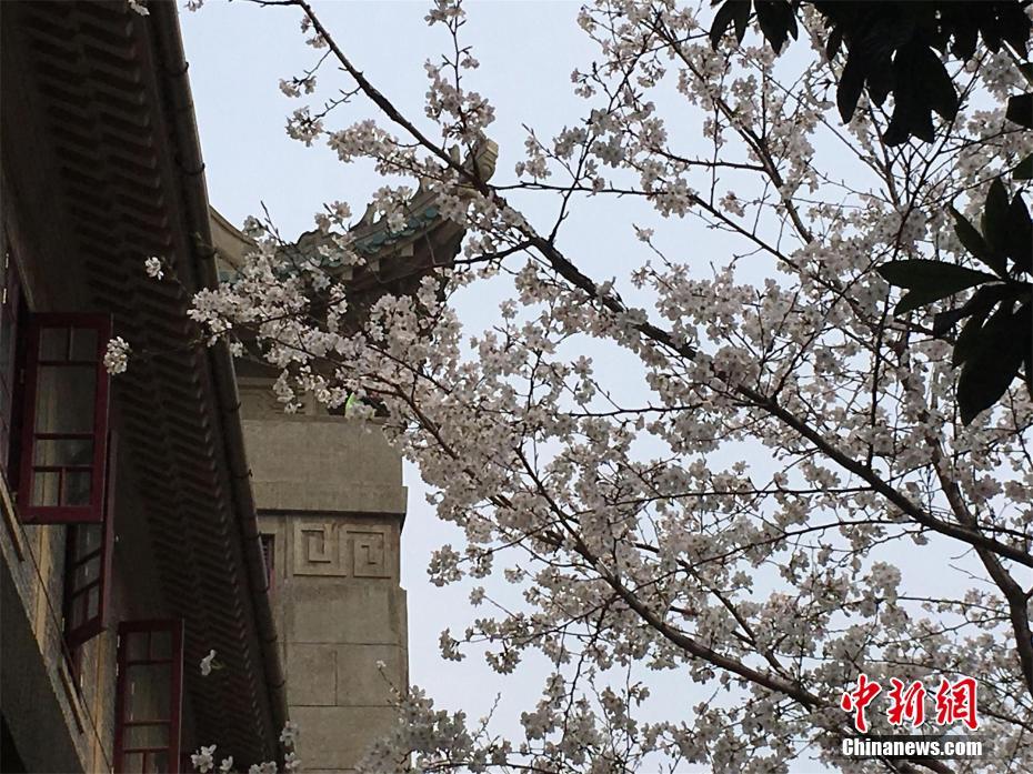 【51吃瓜群眾網(wǎng)熱心的朝陽(yáng)群眾在】(總臺(tái)記者 馬天靜)