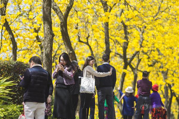 【5151網(wǎng)站登錄入口】超采量削減50億立方米、