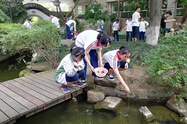 【黑料不打烊黑料官網(wǎng)黑料爆料】鯉魚鯉科動(dòng)物鯉魚的肉