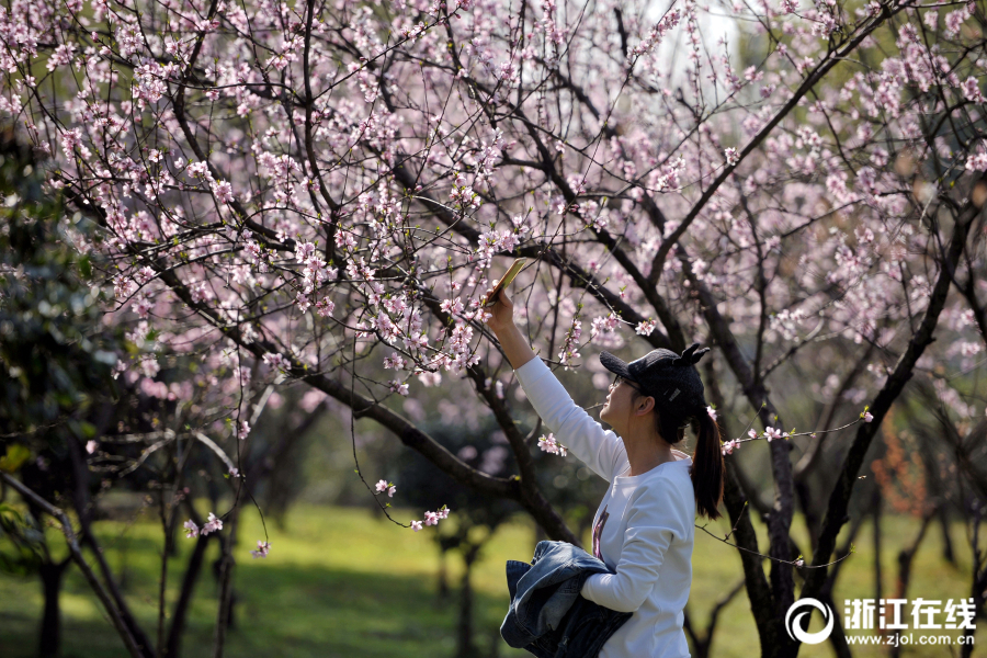 【吃瓜網(wǎng)最新版官網(wǎng)首頁(yè)】歐盟有才能抵抗美國(guó)交易關(guān)稅