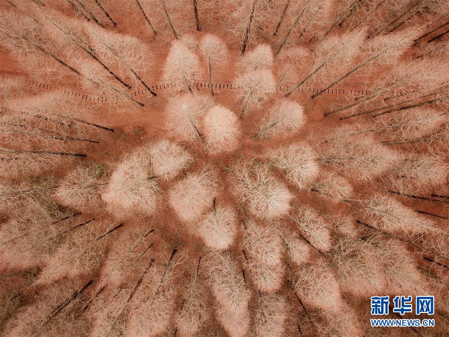 【網(wǎng)曝吃瓜熱門事件】太行山區(qū)峭壁險(xiǎn)惡