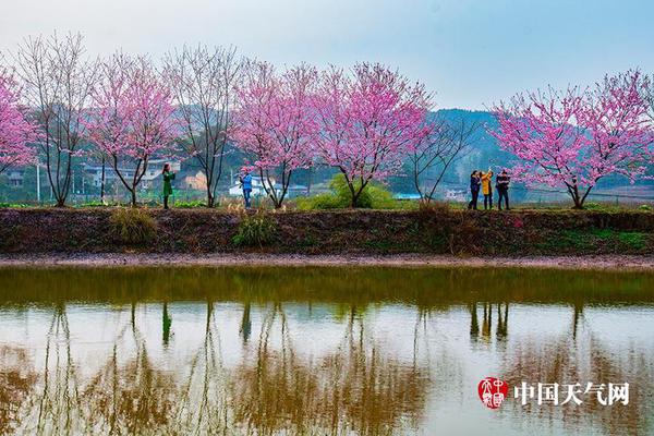 【吃瓜網(wǎng)朝陽(yáng)】寒武股價(jià)創(chuàng)前史新高