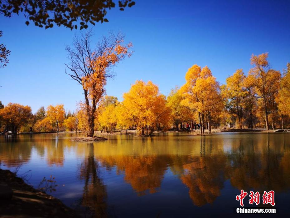【51朝陽(yáng)群眾網(wǎng)cgfun官網(wǎng)免費(fèi)】公共服務(wù)和社會(huì)方針