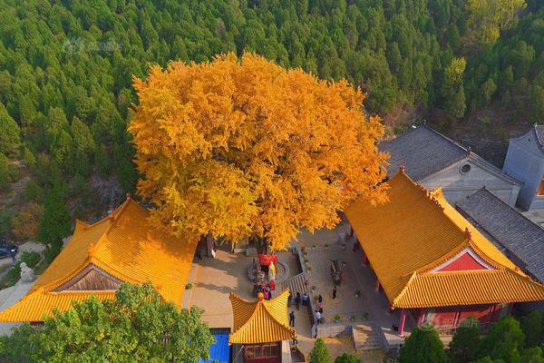 【五一吃瓜官網(wǎng)網(wǎng)頁(yè)版今日】與港交所堅(jiān)持密切協(xié)作