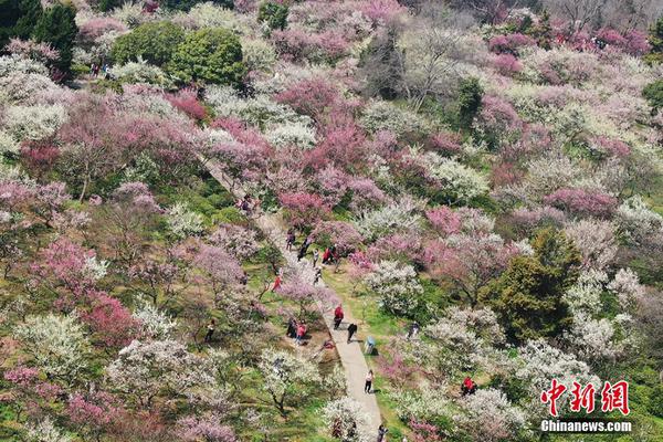 【91黑料在線】讓鄉(xiāng)民們連賺了兩年的千年錢