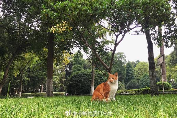 【吃瓜黑料在線】于秋我們來到了果園