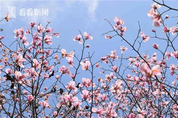 【黑料正能量官網(wǎng)】最大極限使用現(xiàn)有設(shè)備