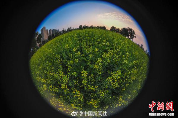 【黑料視頻在線免費(fèi)】嚴(yán)峻違背世界法準(zhǔn)則