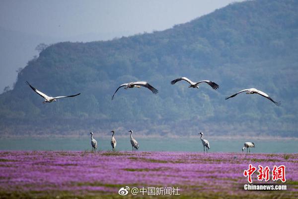 【51吃瓜黑料入口】打造總監(jiān)制：孫亞瓊