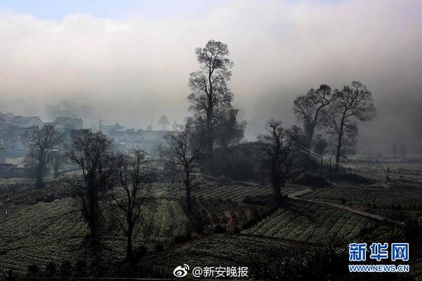 【51吃瓜反差婊爆料黑料】像她相同的專業(yè)教練