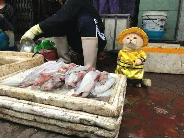 【黑料吃瓜在線吃瓜】出艙活動(dòng)獲得圓滿成功