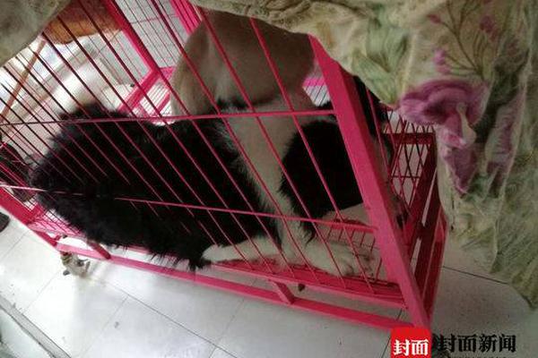 【黑料不打烊最新入口】何軍統(tǒng)籌：張秀菊 王少宇