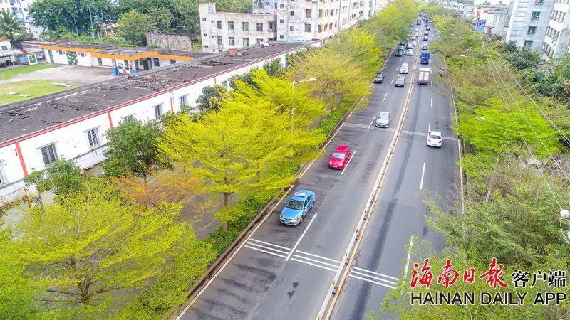 【黑料不打烊網(wǎng)站】會(huì)對(duì)學(xué)生發(fā)生不良演示