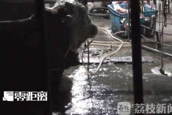 【在線暗網(wǎng)吃瓜】民政產(chǎn)業(yè)嚴(yán)重?fù)p失的部印