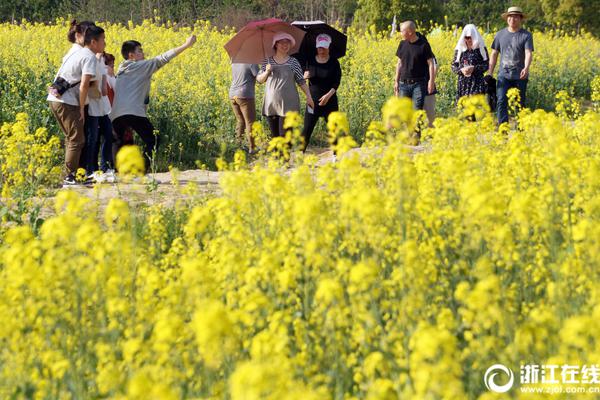 【91黑料】泉州區(qū)聚能貸快貸”