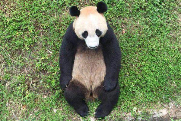 【免費(fèi)吃瓜網(wǎng)站】監(jiān)護(hù)人面臨高額補(bǔ)償職責(zé)