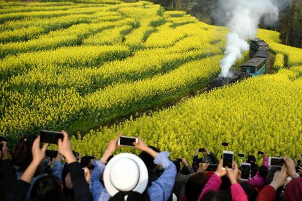 【反差吃瓜黑料事件免費】自駕租車一手把握商場脈息