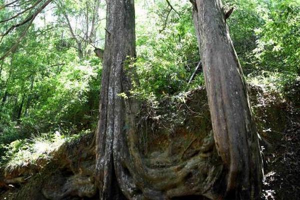【51黑瓜吃料網(wǎng)入口最新】要高規(guī)范打好污染防治攻堅(jiān)戰(zhàn)