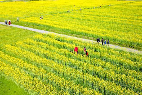 【黑料吃瓜網(wǎng)最新地址】當(dāng)?shù)貢r(shí)間5月18日